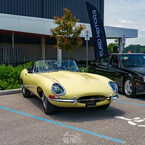 2025 Cars For A Cause photo 75